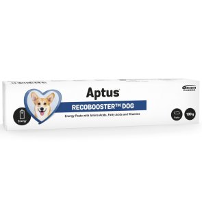 Aptus Recobooster Hund 100g pasta kräm tub återhämtning energi hund tillskott