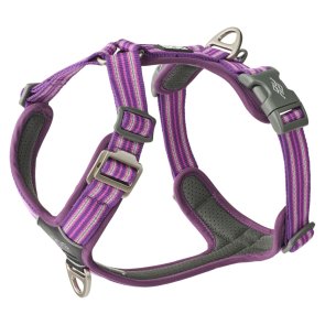 hundsele sele harness antidragsele design reflex stadig hundkoppel hundhalsband lila purple passion dog copenhagen hundpromenad