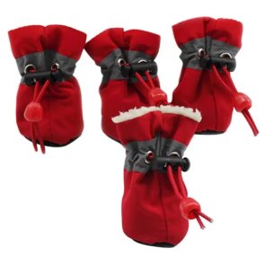 Hundskor Fodrade 4-pack Röd