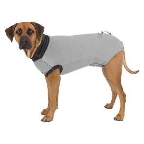 hundbody body för hund operation skydd kroppsstrumpa skyddsbody veterinär hund grå