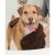Dirty Dog Shammy Handduk Brun 33 x 79 cm hundhandduk med fickor handtag handduk hund rya