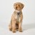 hundsele sele harness antidragsele sele comfort walk pro design reflex stadig hundkoppel hundhalsband beige desert dune dog cope