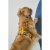hundsele sele harness antidragsele sele comfort walk pro design reflex stadig hundkoppel hundhalsband gul lemon dog copenhagen