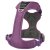 hundsele sele harness antidragsele sele comfort walk pro design reflex stadig hundkoppel hundhalsband lila purple passion dog co