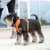 hundsele sele harness antidragsele sele comfort walk pro design reflex stadig hundkoppel hundhalsband orange sun dog copenhagen