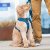 hundsele sele harness antidragsele sele comfort walk pro design reflex stadig hundkoppel hundhalsband grön hunting green dog cop