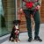 hundkoppel koppel leash design reflex stadig hundsele beige desert dune dog copenhagen hundpromenad urban freestyle