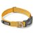 hundhalsband halsband collar design reflex stadig hundkoppel gul lemon dog copenhagen hundpromenad