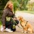 hundkoppel koppel leash design reflex stadig hundsele beige desert dune dog copenhagen hundpromenad