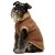 Fitwarm Granular Turtleneck Dog Sweater Brun