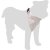 Flamingo Hundhalsband med bandana Nelson ljusgrå halsband scarf rolig somrig grey tre storlekar nylon stilren