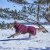 hurtta hundtäcke täcke hund vintertäcke varmt dog coat winter eggplant vinröd varmt återvunnet tyg