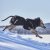 hurtta hundtäcke täcke hund vintertäcke varmt dog coat winter black raven svart varmt återvunnet tyg