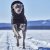hurtta hundtäcke täcke hund vintertäcke varmt dog coat winter black raven svart varmt återvunnet tyg