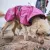 hurtta monsoon ii eco hundtäcke regntäcke regnjacka hundjacka desert gul beige återvunnet regn
