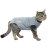 Buster Body Suit EasyGo kattbody, grå/svart