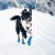 hundskor hundsocka hundsockor hundskor mushing mushskor snöskor hund blå nonstop dogwear