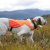hundväst jaktväst hund reflex orange gul nonstop