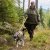 hundväst jaktväst hund reflex orange gul nonstop