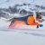 hundtröja hundoverall snöoverall snöskydd hund orange svart nonstop