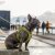 Comfort Walk Go™ Sele Harness Jaktgrön Hunting Green DOG Copenhagen