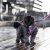 Comfort Walk Go™ Sele Lila Purple Passion DOG Copenhagen