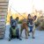 Comfort Walk Go™ Sele Harness Orange Sun DOG Copenhagen