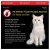 Petwise Fästinghalsband för katt <35 cm