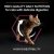 kattfoder kattmat matsmältning känslig mage katt delicate digestion proplan purina