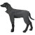 rukka flash overall grey grå reflex hundoverall reflexoverall hundtäcke med ben reflextäcke vindskydd regnskydd hund