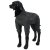 rukka flash overall grey grå reflex hundoverall reflexoverall hundtäcke med ben reflextäcke vindskydd regnskydd hund