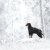 hundoverall vinteroverall varm vintertäcke hundtäcke hundkläder varmt vinter kallt hund rukka svart