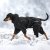 hundoverall vinteroverall varm vintertäcke hundtäcke hundkläder varmt vinter kallt hund rukka svart