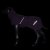 rukka pets trust foil coat plum plommon lila hundtäcke vintertäcke varmt vinter kallt hund fodrat mjukt
