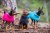 rukka wooly knitwear turkos ljusblå aqua hundtröja stickad hemstickad stil flätstickad myströja varm ullblandning ulltröja