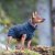 rukka wooly knitwear mörkgrå hundtröja stickad hemstickad stil dark grey d.grey flätstickad myströja varm ullblandning ulltröja