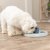 Trixie Dog Activity Flip Board, Nivå 2, ø 23 cm hundspel hundpussel aktiveringsleksak hund ny färg blå grön