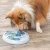 Trixie Dog Activity Flip & Fun, Nivå 2, ø 23 cm aktiveringsleksak hundleksak hundpussel hundspel aktiveringsspel ny färg blå grö
