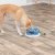 Trixie Dog Activity Flower Tower, Nivå 3, ø 30×13 cm hundleksak hundpussel aktivitetsleksak aktivitetsspel hundspel blå grön