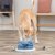 Trixie Dog Activity Flower Tower, Nivå 3, ø 30×13 cm hundleksak hundpussel aktivitetsleksak aktivitetsspel hundspel blå grön