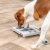 Trixie Dog Activity Mini Mover, Nivå 3, 25 x 20 cm hundspel aktiveringsleksak hundleksak aktiveringsspel ny färg blå turkos