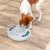 Trixie Dog Activity Slide & Feed, Nivå 1, 30 × 27 cm hundspel hundpussel aktiveringsleksak hund ny färg blå turkosgrön