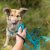 Trixie Easy Life spårlina M-XL 5 m 17 mm, ocean långlina blå löplina jakt bruksträning hundlina turkos