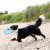 frisbee flytande hundfrisbee hundleksak flyter vatten tpr låg skaderisk vattenlek grön blå trixie