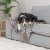 Trixie Leo filt mjuk plysch cream, två storlekar 75 x 100 100 x 150 stor filt mysig katt hund beige