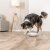 trixie snack popper grå vit interaktiv godisleksak för hund aktiverar aktiveringsleksak aktivering kombinerar lek och belöning i