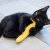 Yeowww! Big Kicker 30 cm catnip kattmynta ekologisk kattleksak stor 100% kattmynta bomull kaninspark brottas kattlek gul grön