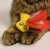 Yeowww! Butterfly kattleksak fjäril catnip äkta ekologisk kattmynta prasslande vingar blå lila röd gul