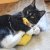Yeowww! Chicata Banan catnip äkta ekologisk kattmynta gul banana kattleksak