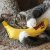 Yeowww! Chicata Banan catnip äkta ekologisk kattmynta gul banana kattleksak